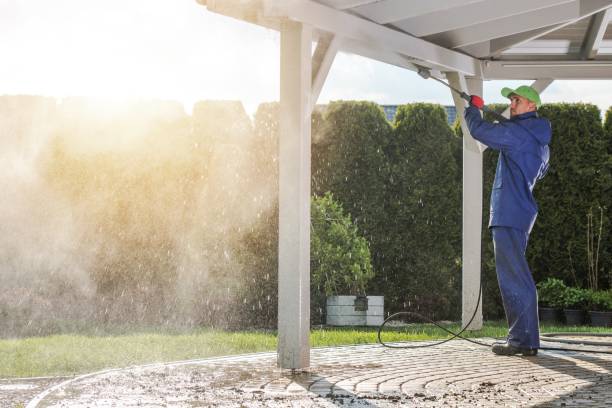 Best Solar Panel Cleaning  in Wharton, TX